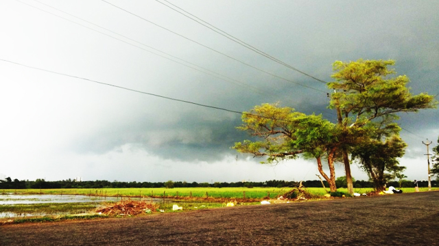 Weather Update: আপাতত ভারী বৃষ্টি নেই দক্ষিণবঙ্গে! আগামী কয়েকদিন কেমন থাকবে আবহাওয়া?